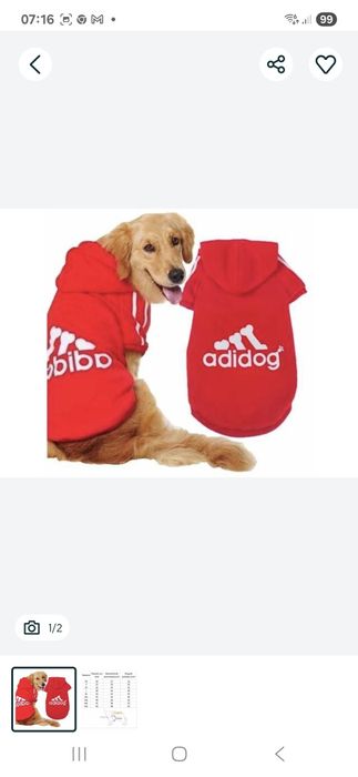 Bluza dla psa 4xl 3 sztuki