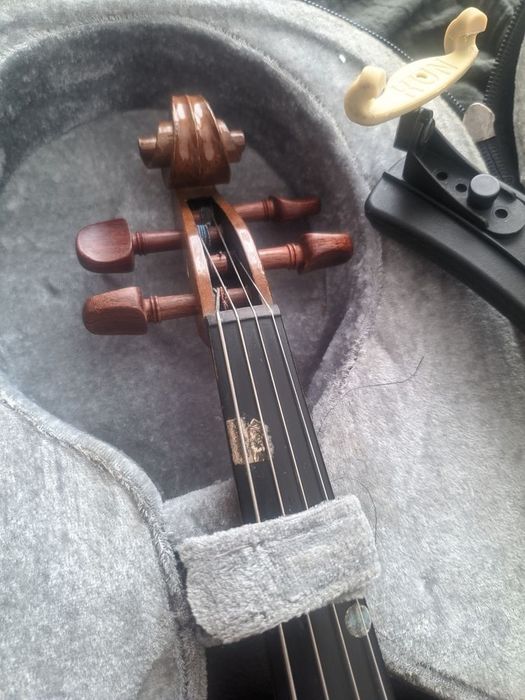 Viola de arco com extras