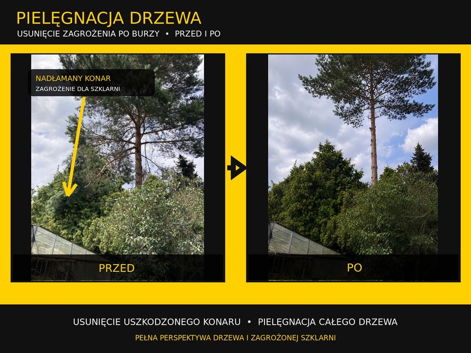 Wycinka drzew • frezowanie pni • karczowanie • cennik | Łódzkie