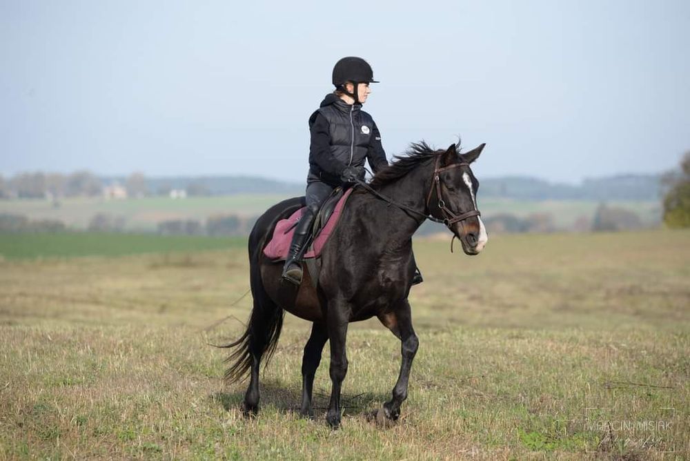 Sprzedam klacz 165cm