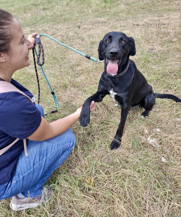 Cudowna Lulu-dobre psie serce, uratowana w Bułgarii.