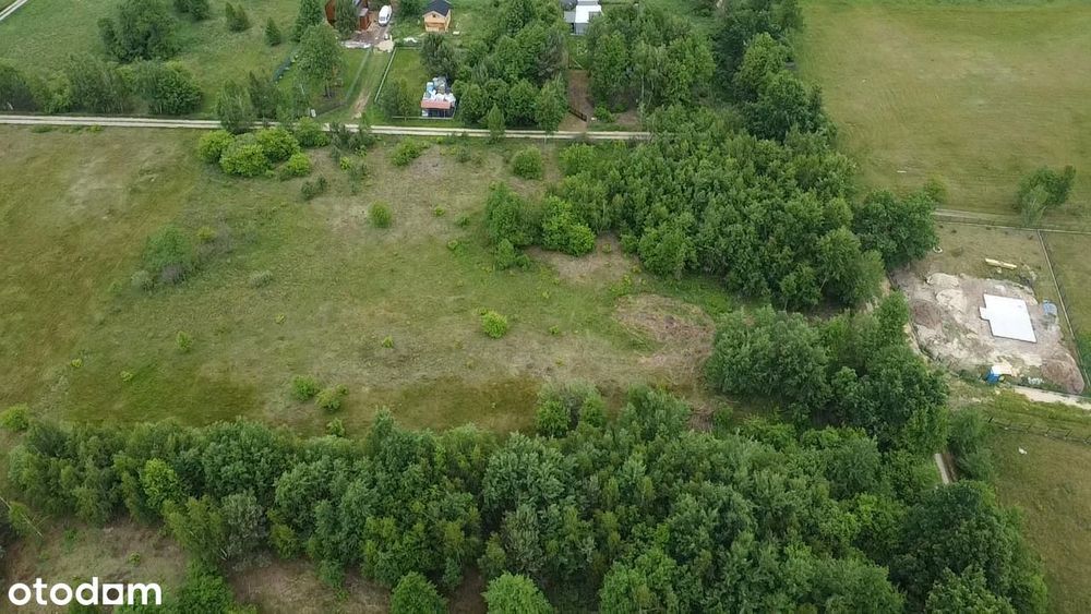Sprzedam działkę rekreacyjną MPZP 48 km od Warszawy - Widok 5