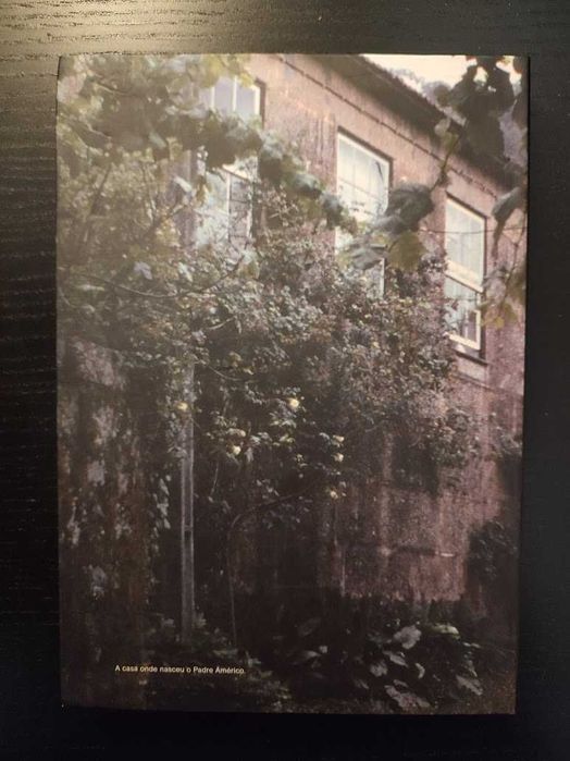 (Env. Incluído) O Padre Américo e a Obra da Rua de Helena Pereira