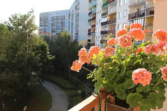 Sprzedam mieszkanie 72,3 m² ul. Jabłeczna-GAJ-WROCŁAW