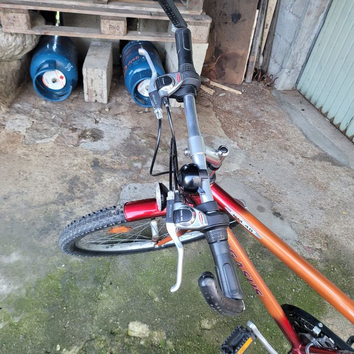 Bicicleta para adultos