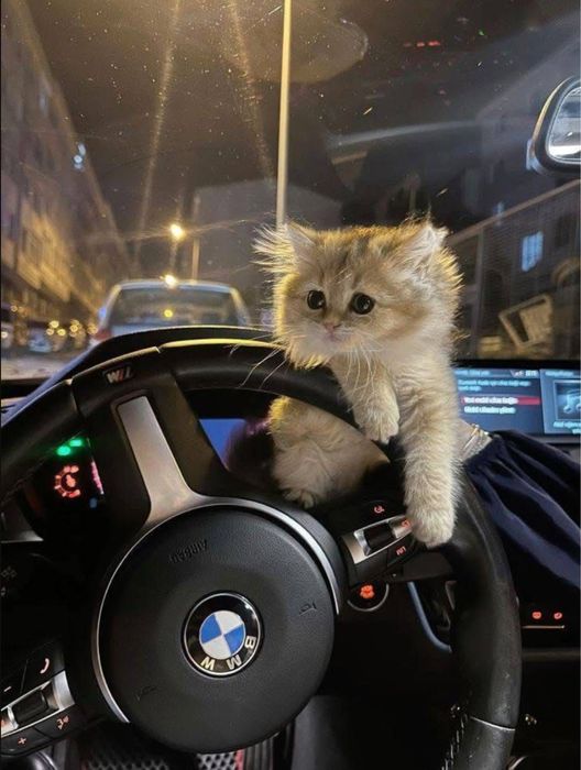 Рули Bmw M на F серию f10 f30 f01 f02 f34 f32 f36 f11 и тд