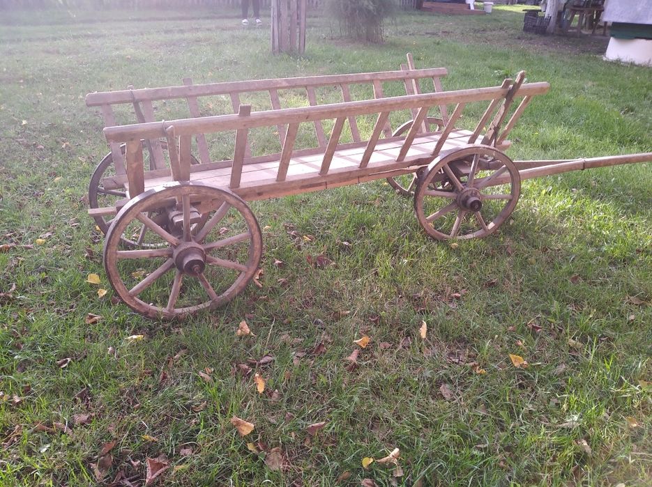 Віз/візок (старовинний)