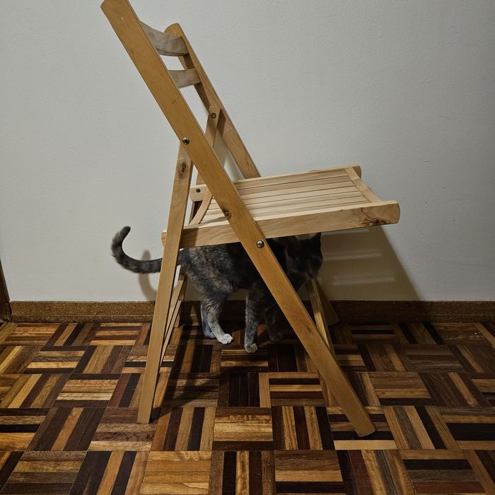 Cadeira de Madeira Natural