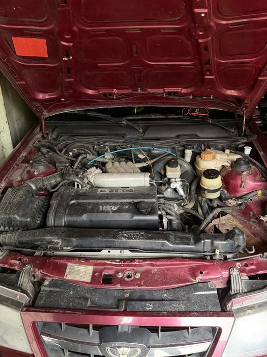 Део нексіа 2008!