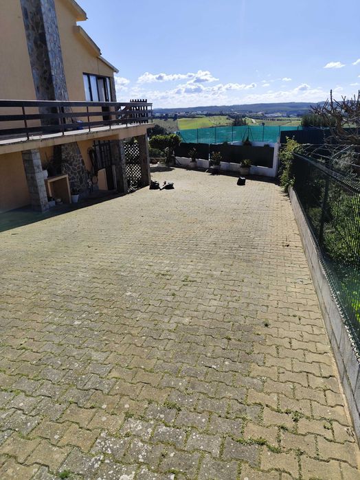 Limpeza e Manutenção de Jardins