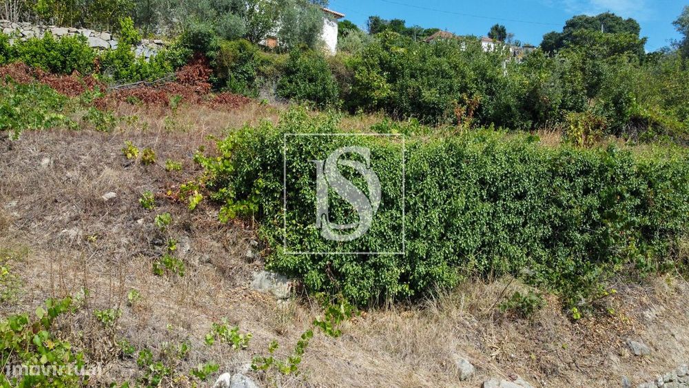 Terreno  Venda em Ancede e Ribadouro,Baião