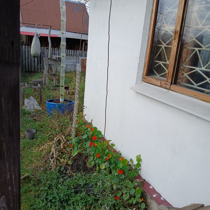 Продається жилий будинок в садовому товаристві "Любітєль2"