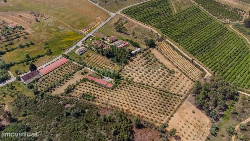 Quinta T1 / Fundão, Salgueiro