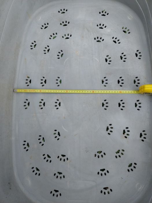 Cama para cão (Grande]