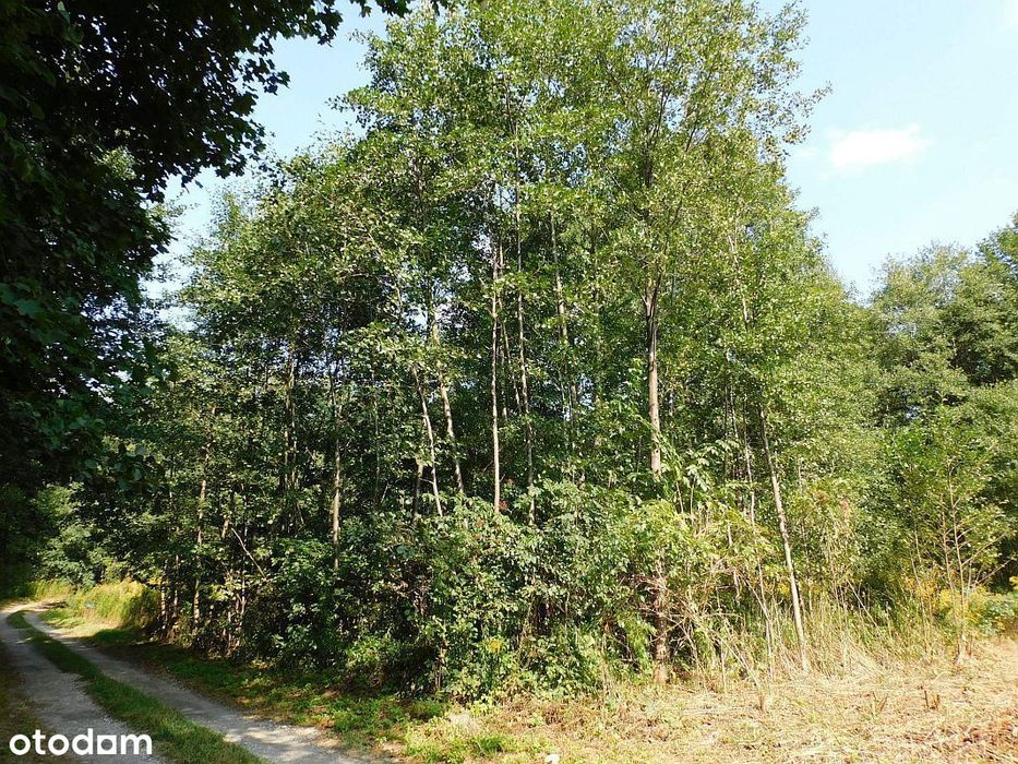 Imielno, działka budowlana