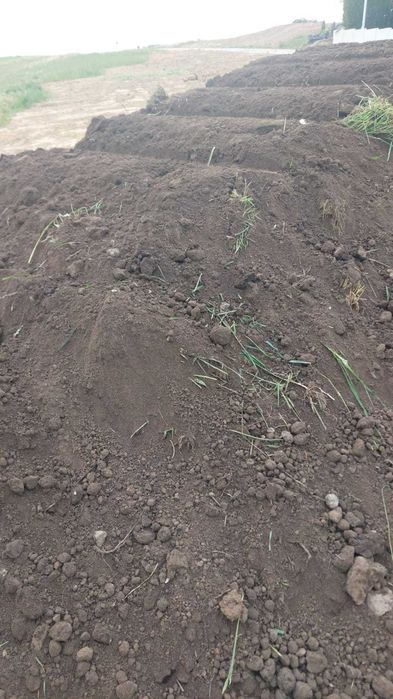 Ziemia ogrodowa humus