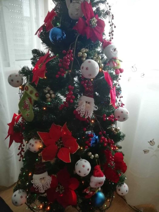 Pinheiro de natal