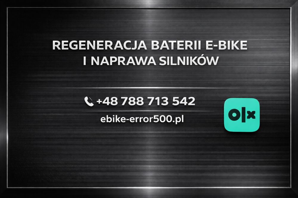 Profesjonalna Regeneracja Baterii Rowerowych bionx   Gazelle  sparta .