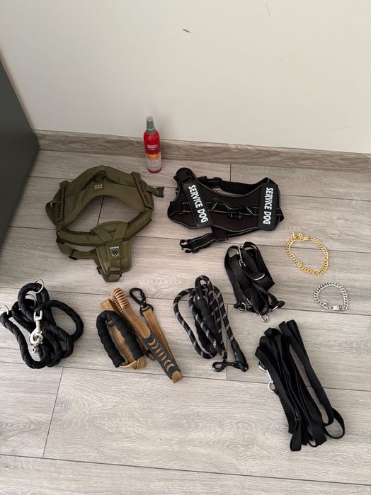 Поводок, анатомическая шлея