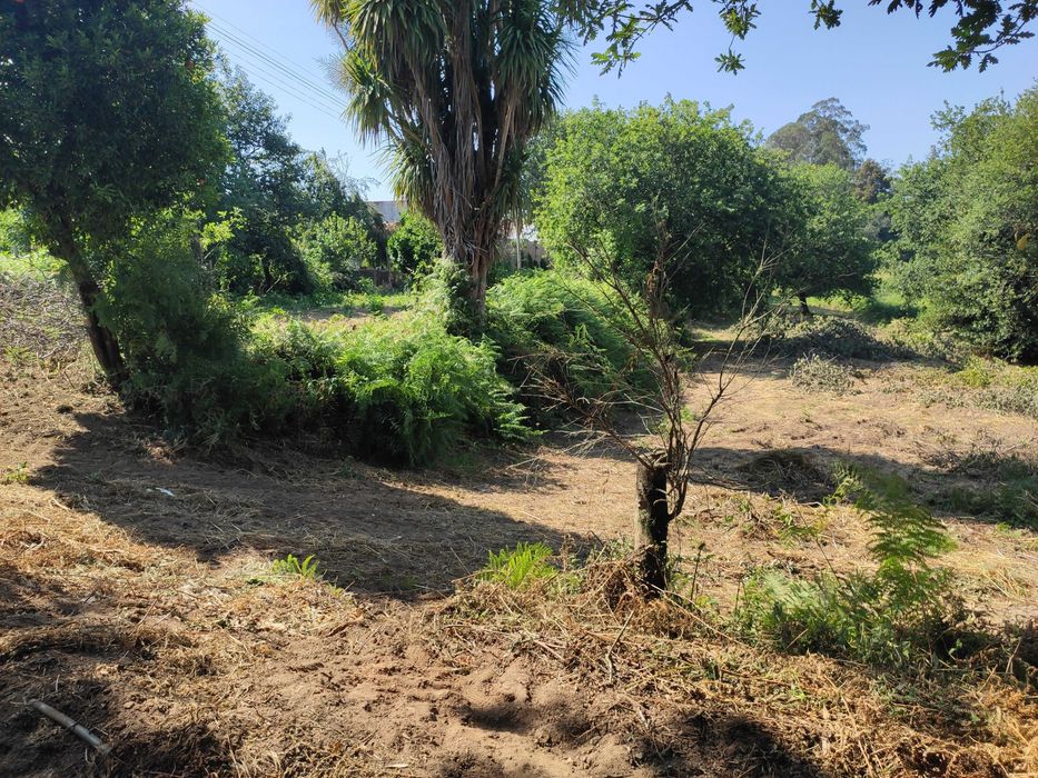 Terreno Urbano 3.400 m² a 20 minutos de Aveiro