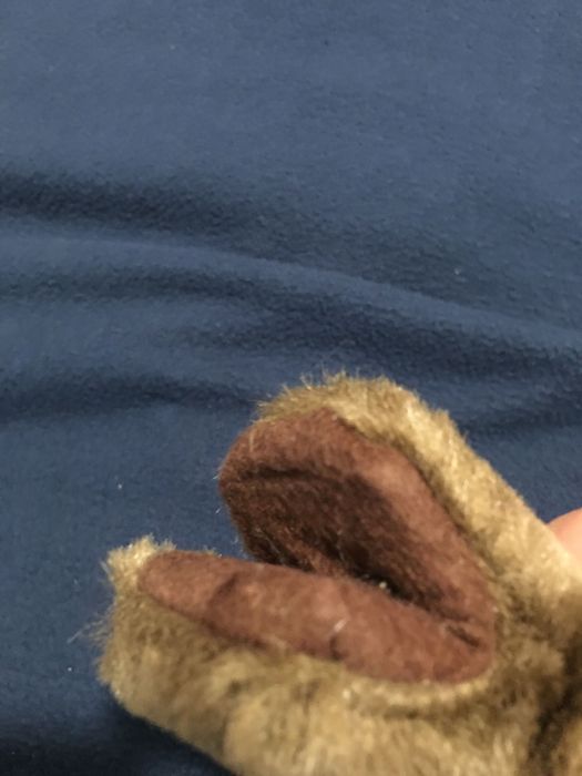 Plush Monkey, New Release with Springs on Hands64551205374337122