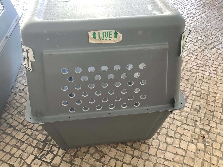 Caixa de Transporte Sky Kennel Grande – 81 × 62 × 61 cm