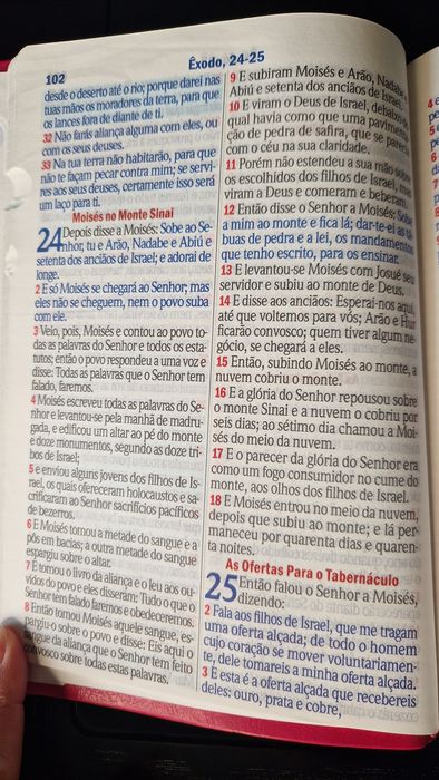 Bíblia da Mulher Cristã Floral Dália Pink