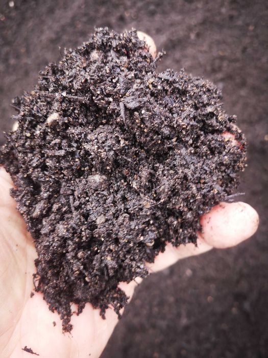 Kompost ogrodniczy Bio. Skoncentrowany. Naturalny. Ziemia próchnicza.