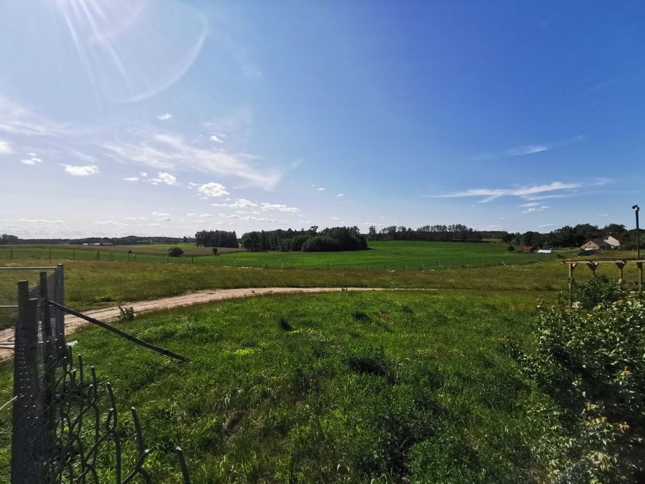 Zdjęcie 6