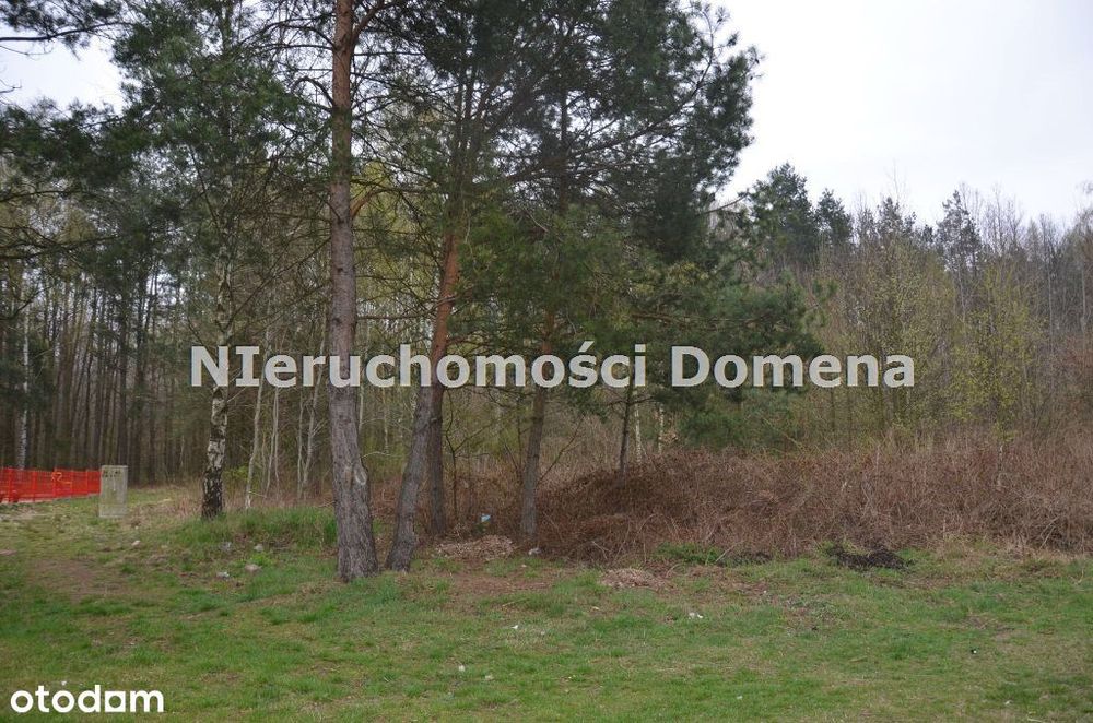 Działka, Konewka