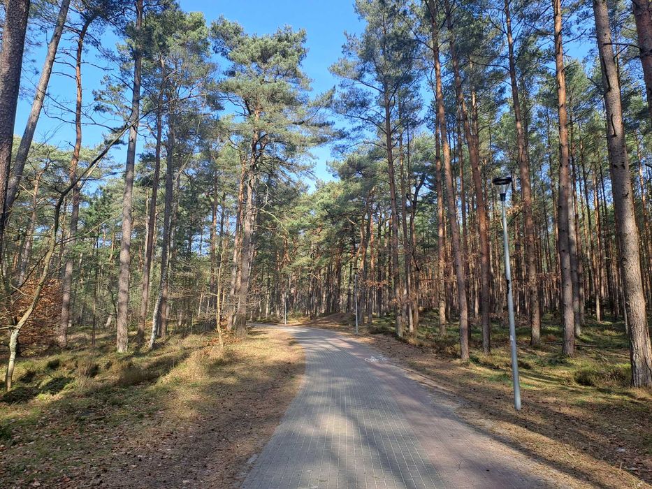 Apartament z ogrodem i parkingiem w Ustce