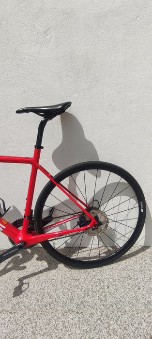 Focus izalco Race carbono