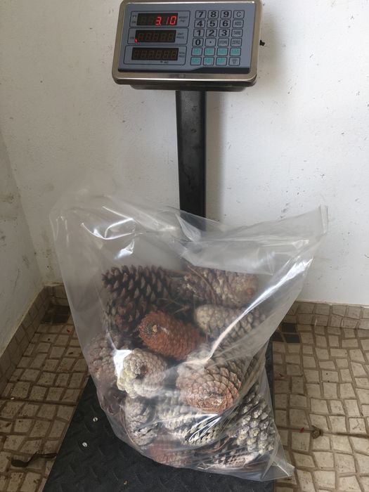 Lenha boa para aquecer sua casa,festas churrascádas !!