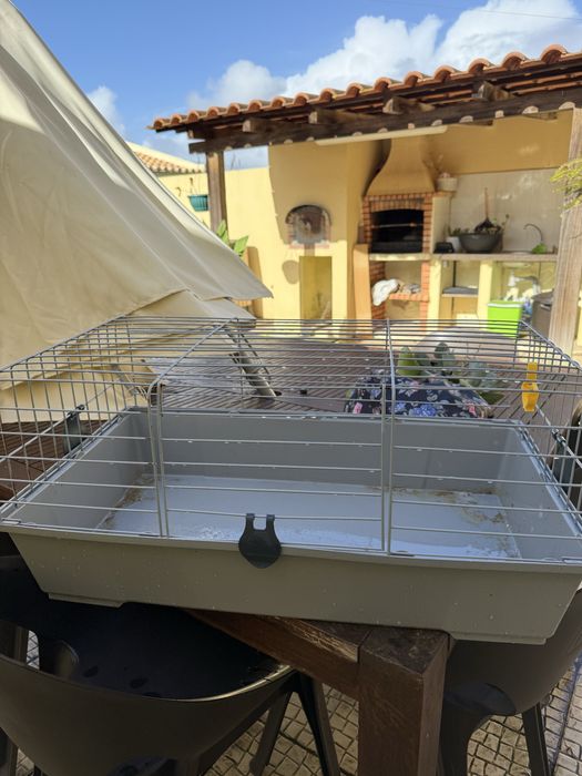 Gaiola para coelhos