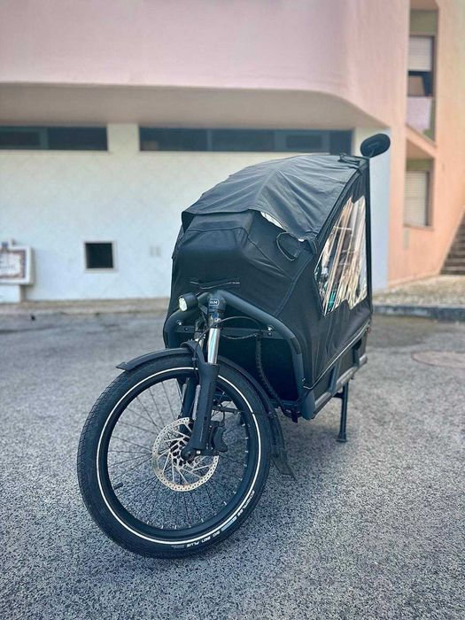 Bicicleta carga Riese & Muller Load 75 vario