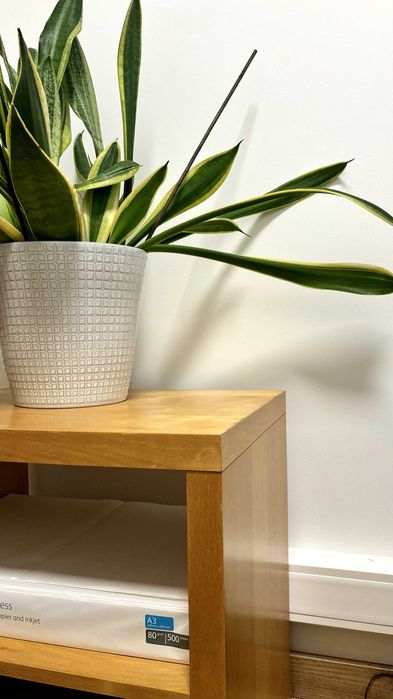 Cómoda de madeira – 25€