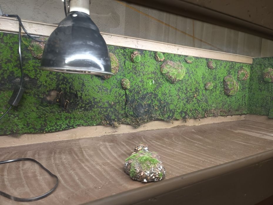 Terrarium dla żówia/ innego gada