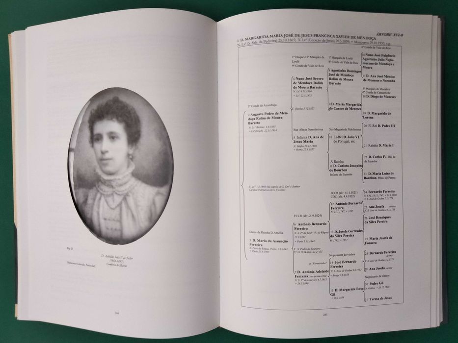 Titulares do Liberalismo do Algarve - José Krohn da Silva