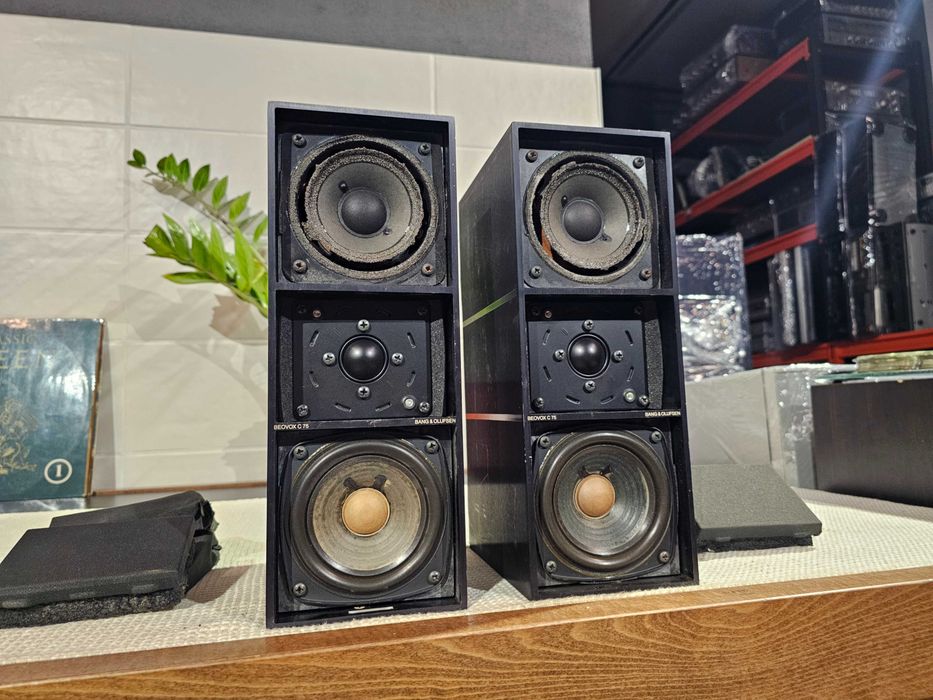 Металева акустика Bang & Olufsen BeoVox C75