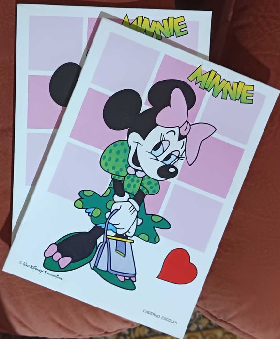 Lote 8 cadernos (1€ cada) Coleção completa Disney marca Ambar anos  80