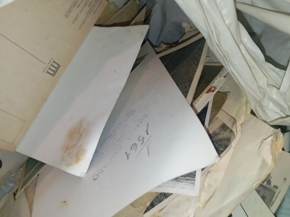 Fotos e postais vendo junto