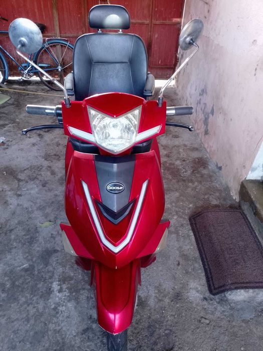 Scooter Elétrica de Mobilidade - Vortex Goose R3N