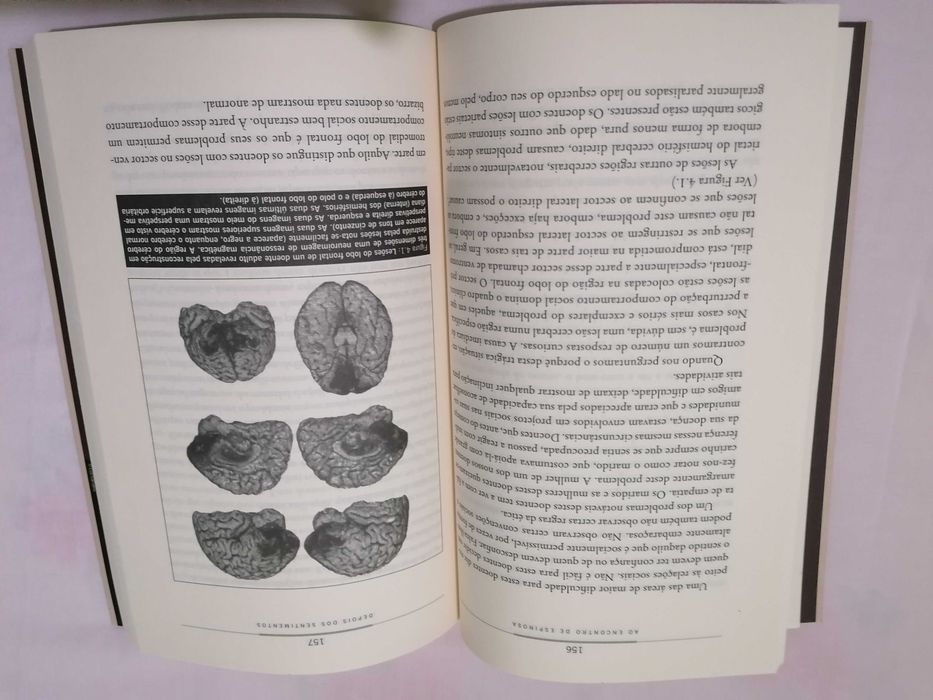 Ao encontro de Espinosa, António Damásio, Cir. Leitores 1ª edição 2012