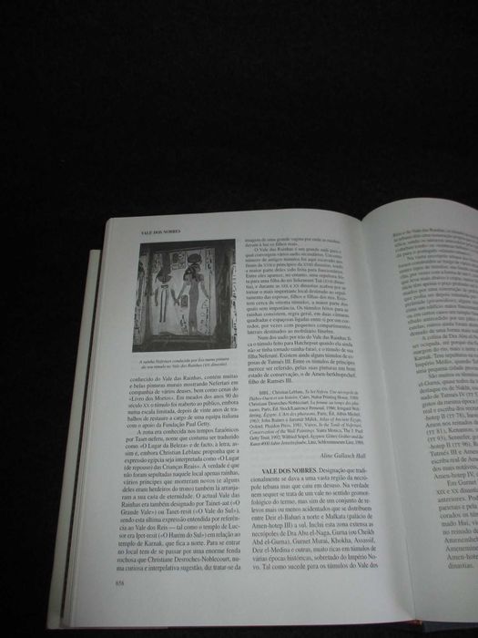 Livro Dicionário do Antigo Egipto Luís Manuel de Araújo