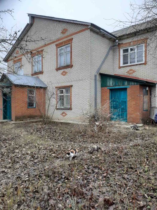 Будинок . Лебедин