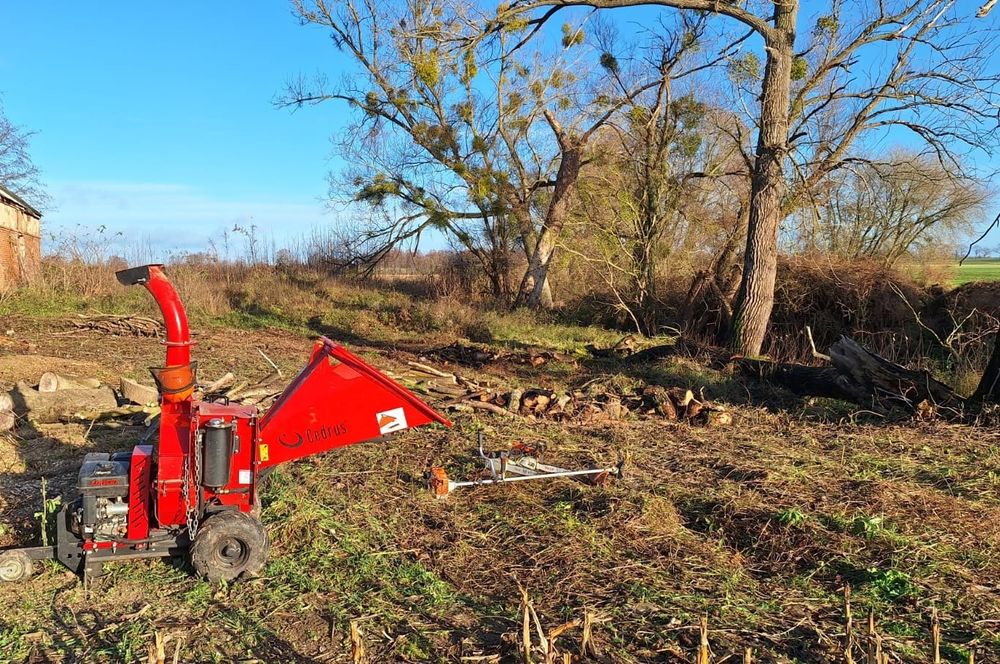 Wycinka drzew, podnośnik koszowy, prace ogrodnicze