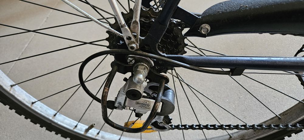 Rower Pegasus duża rama