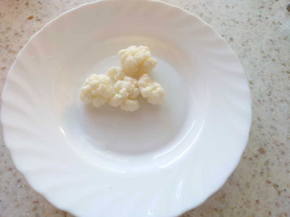 молочний кефірний гриб