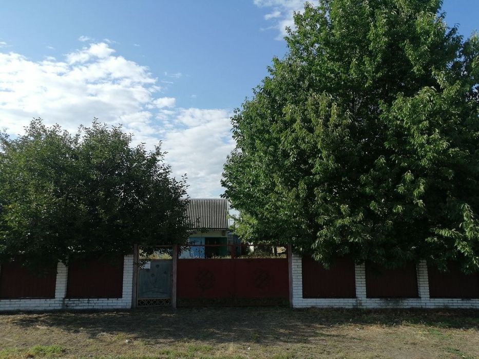 Продам Дворище 17 соток в селищі Драбів, Черкаська область (ВЛАСНИК)