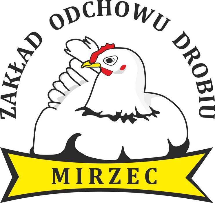Kury Nioski LEGHORN 10 Tyg Wyprzedane